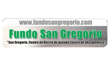 fundo-san-gregorio